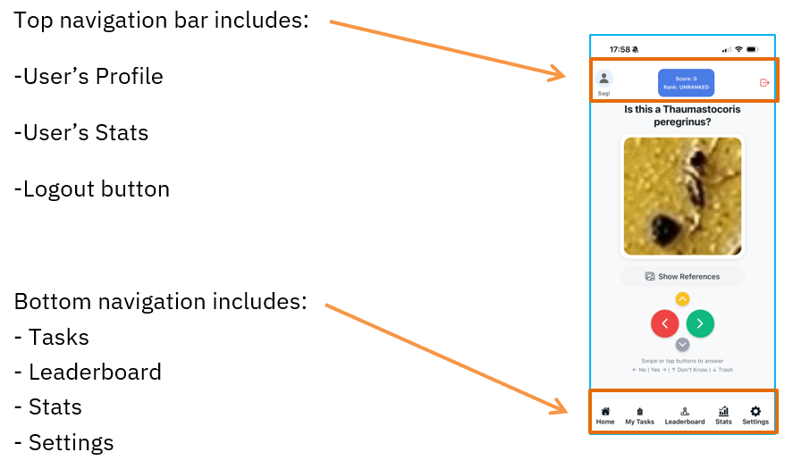Navigation overview